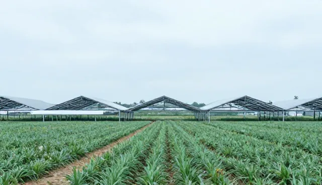 技术咨询场景应用如何影响实际效果